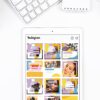 IDENTIDAD WAVES LOLLIPOP